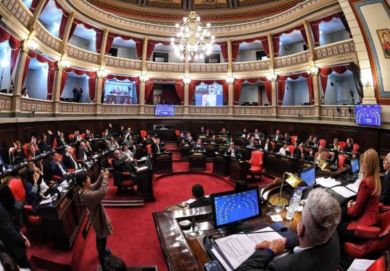Con ayuda opositora el Senado bonaerense aprobó las reelecciones indefinidas