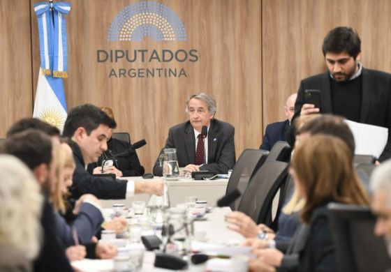 Diputados dictaminaron modificaciones clave para destrabar la Comisión Investigadora del caso $LIBRA