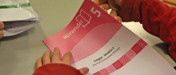 Pruebas Aprender: La Provincia mejoró los indicadores en Lengua y Matemática 