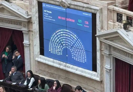 Diputados: El gobierno logró salvar el DNU de tierras con apoyo del PRO, la UCR, Jaldo y Pullaro
